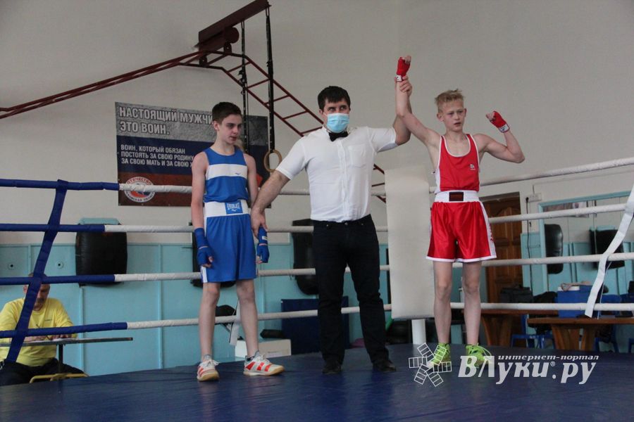 В Великих Луках завершился открытый турнир по боксу (ФОТО)