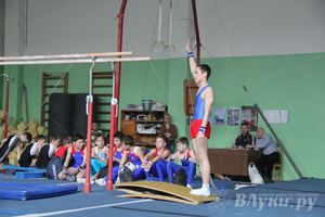 В Великих Луках прошел турнир по спортивной гимнастике (фото)