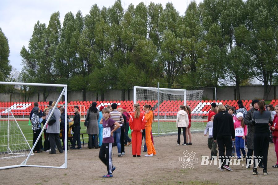 «Шиповка юных»