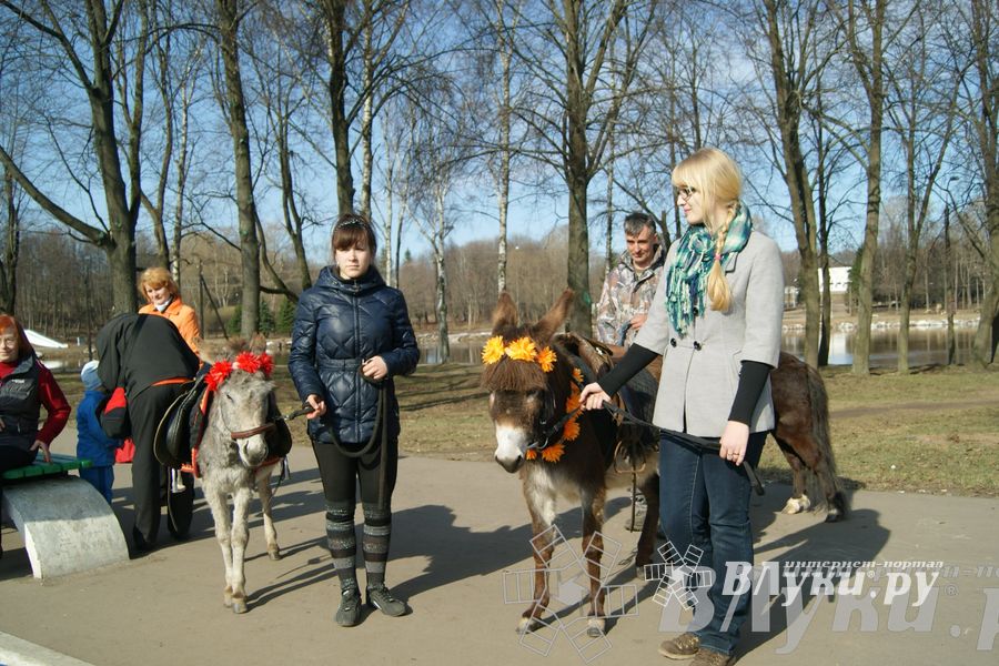 Весенняя ярмарка 2013 прошла в Великих Луках