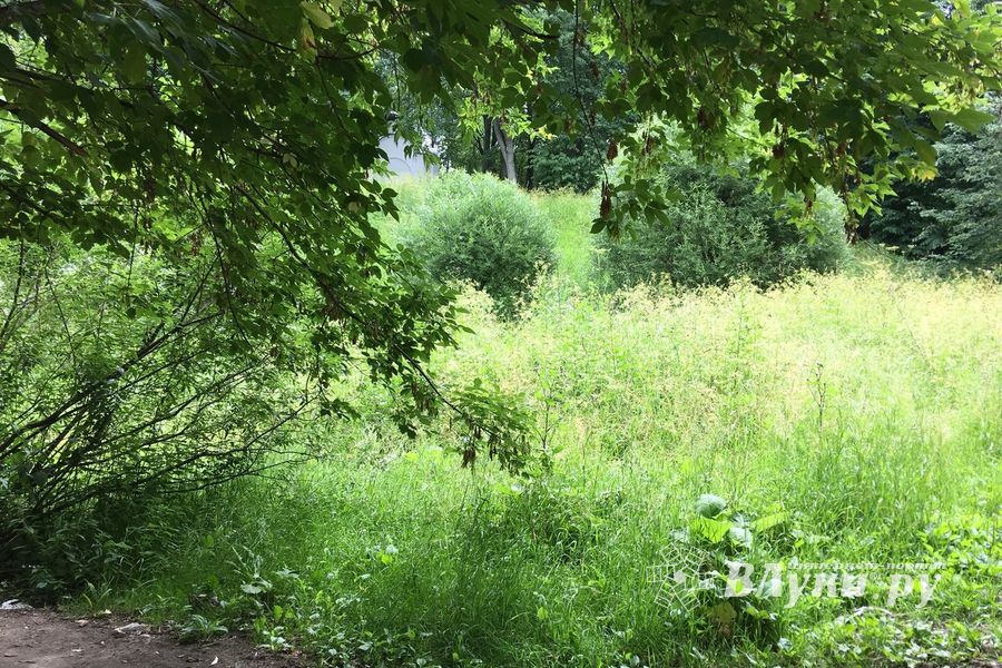 Необитаемый остров Дятлинка (ФОТО)