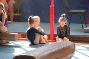 В Великих Луках проходит открытое первенство по спортивной гимнастике (ФОТО)