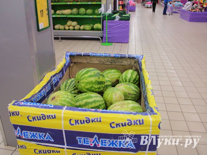 В Великих Луках проверили бахчевые (ФОТО)