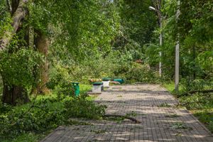 Небезразличные великолучане помогают убрать город после урагана (ФОТО)