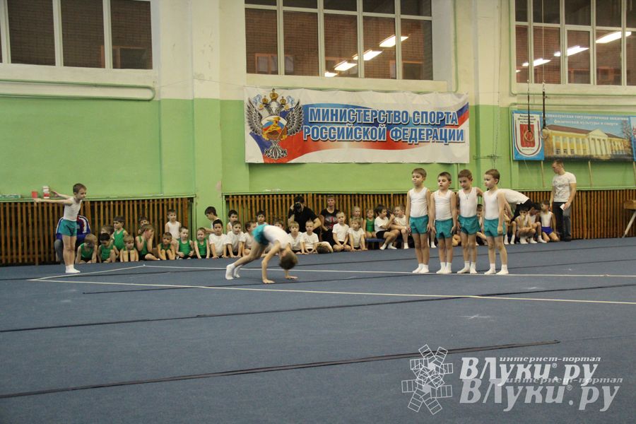 В Великих Луках состоялось Первенство по командной гимнастике (фото)