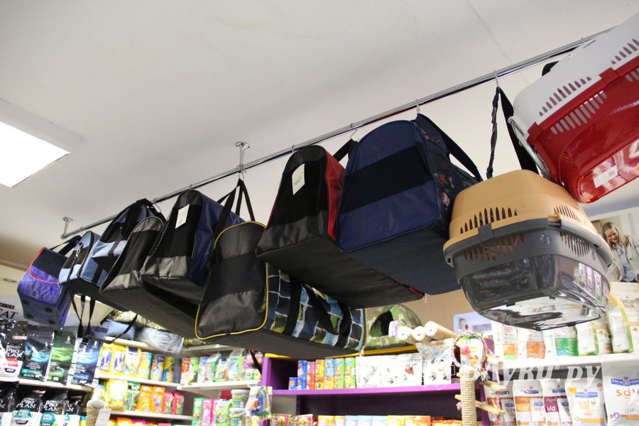 «Zooбастики»: подарите праздник своим любимцам! (ФОТО+ВИДЕО)