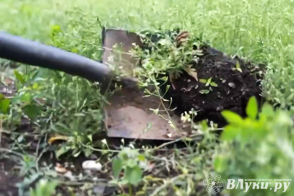 Житель Псковской области откопал чужой клад