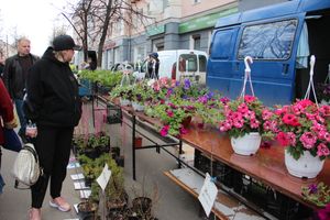 В Великих Луках прошла ярмарка «Весна - 2022» (ФОТО)