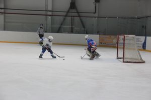 В Великих Луках прошел детский Открытый турнир по хоккею (ФОТО)