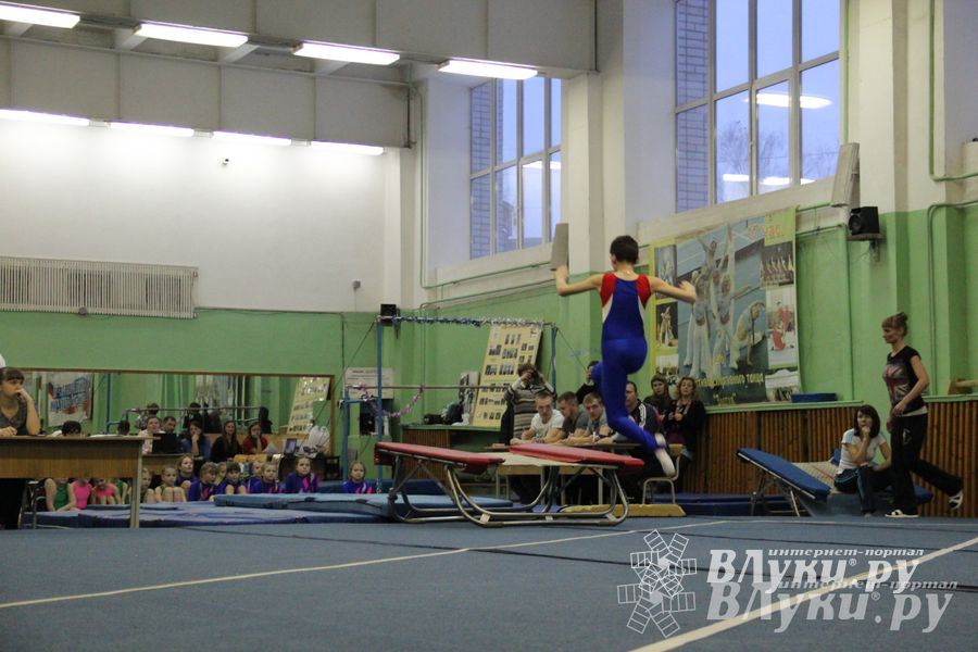 В Великих Луках состоялось Первенство по командной гимнастике (фото)