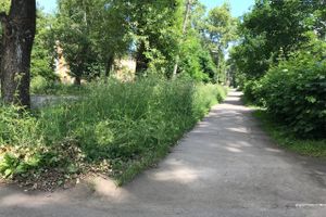 Трава у дома (ФОТО)