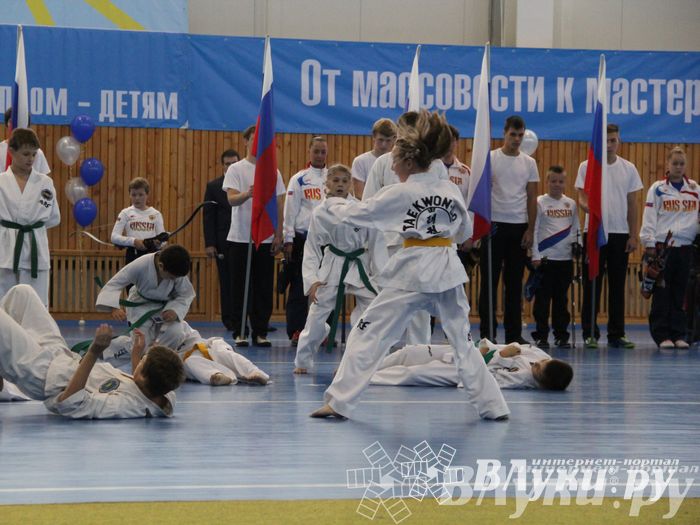 Открытие спортивно-оздоровительный комплекс «Стрелец» (фото)