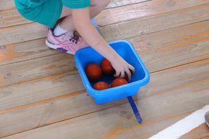 В Великих Луках проходят спортивные соревнования среди дошколят «Юные олимпионики» (ФОТО)