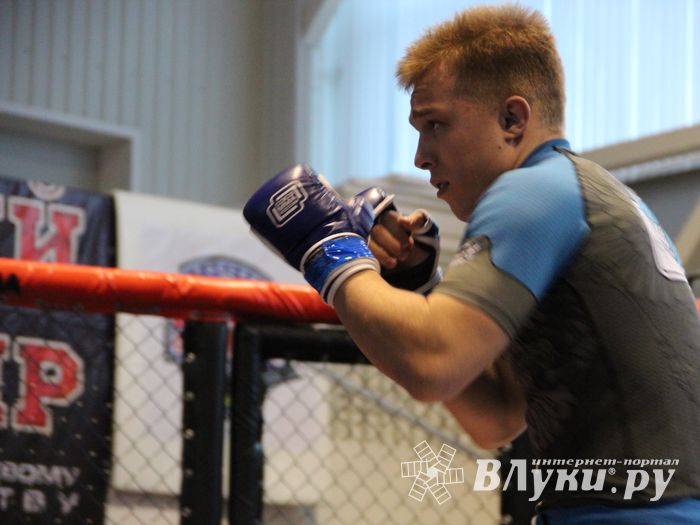 В Великих Луках прошел кубок по смешанному боевому единоборству (ФОТО)