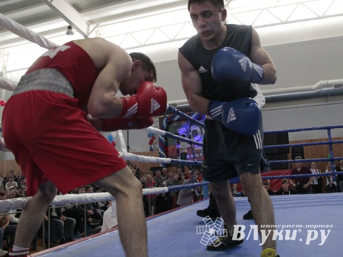 Матчевая встреча по боксу Великие Луки —Псков — Грозный (ФОТО)