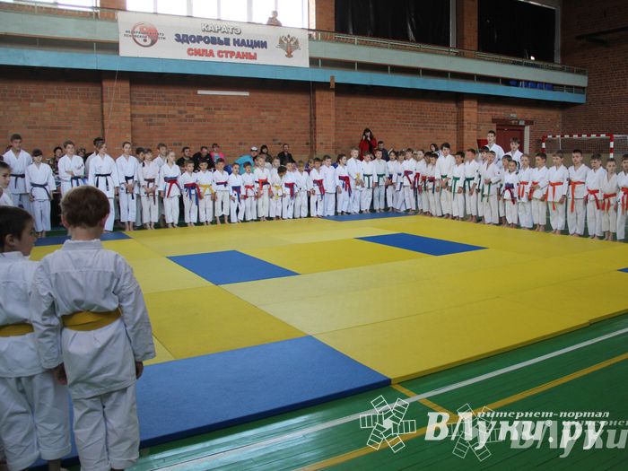 Великолучане стали победителями турнира по каратэ «Неприкосновенный запас, дети — Отчизны 2015» (фото)