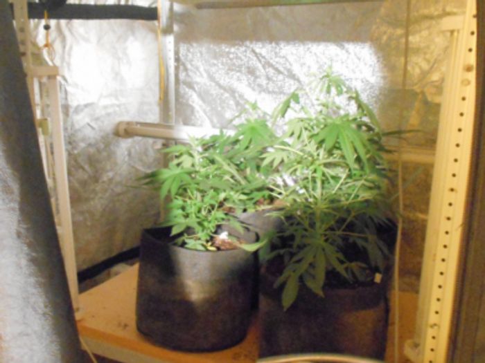 В Псковской области полицейскими выявлена нарколаборатория (ФОТО 18+)