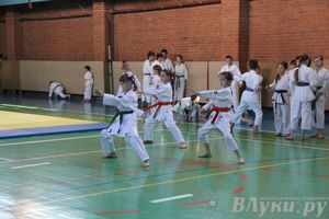 Турнир по каратэ
