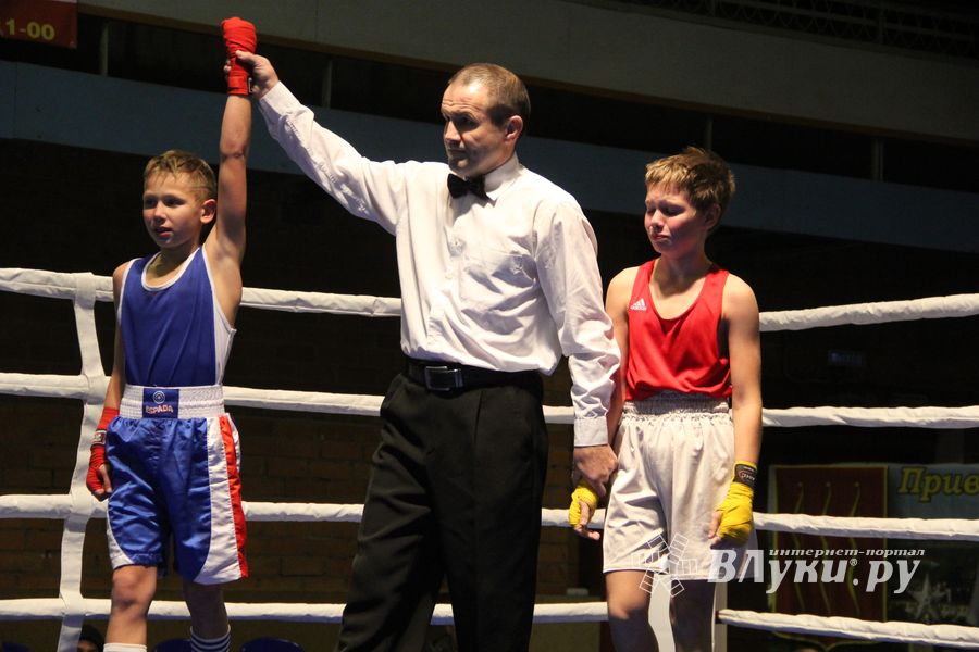В Великих Луках проходят соревнования по боксу памяти Е.А. Клевцова (фоторепортаж)