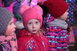 В Великих Луках зажгли Ёлку (ФОТО)