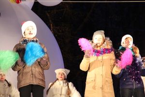 В Великих Луках зажглась главная новогодняя елка (фото) 