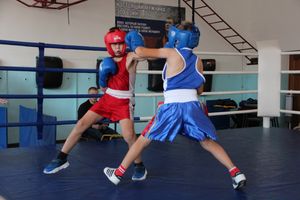 Фестиваль боевых искусств прошел в Великих Луках (ФОТО)