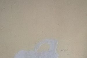 Великолучане жалуются на антисанитарию в Великолукской детской городской больнице (фото)