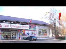 Перец-рапид: Белки