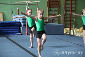 В Великих Луках состоялось Первенство по командной гимнастике (фото)