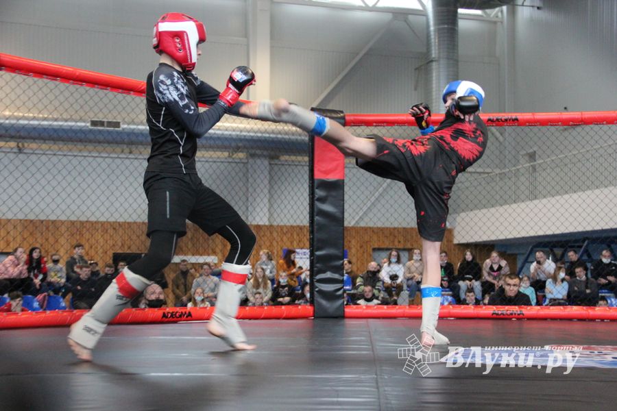 В Великих Луках прошел кубок по смешанному боевому единоборству (ФОТО)