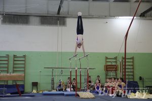 В Великих Луках прошло Первенство Области по спортивной гимнастики (фото)