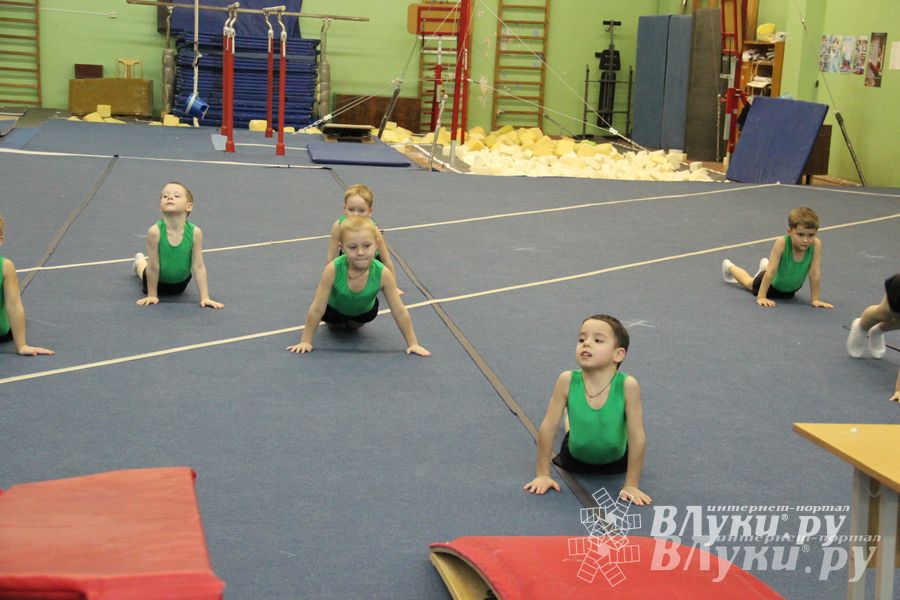 В Великих Луках состоялось Первенство по командной гимнастике (фото)