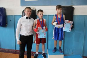 Юные великолучане выявили сильнейших боксёров (ФОТО)