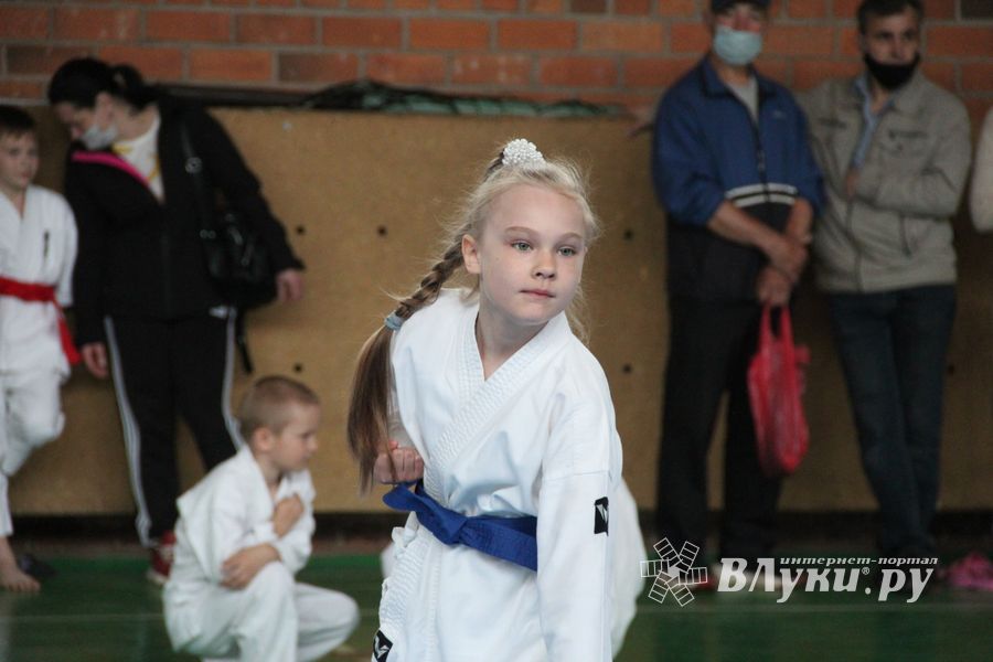 Открытый Кубок города Великие Луки по каратэ WKF (ФОТО)