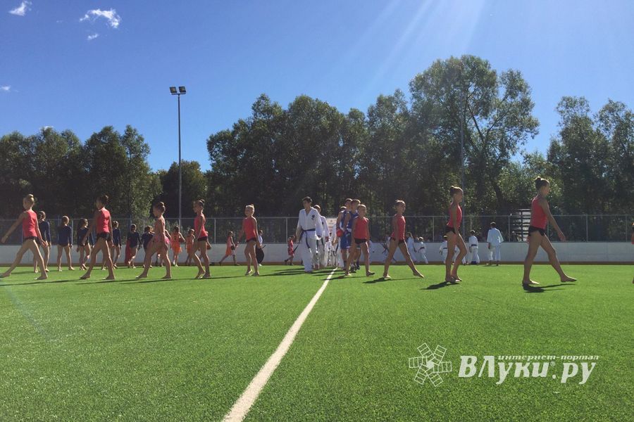 Спортивно-массовые мероприятия в честь Дня города (ФОТО)