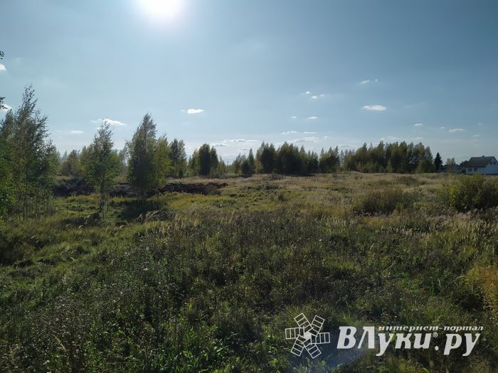 Будет ли здесь «город-сад» (ФОТО)