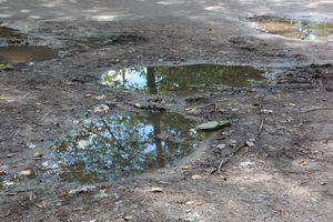 Великие Луки после дождичка в четверг (ФОТО)