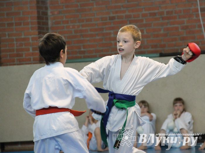 Турнир по каратэ «Неприкосновенный запас — дети Отчизны»