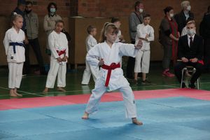 Открытый Кубок города Великие Луки по каратэ WKF (ФОТО)