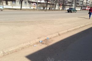 Весне дорогу!