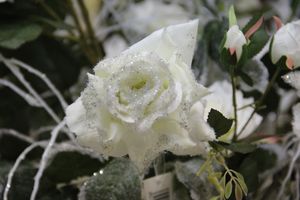 Как украсить дом к Новому Году? (ФОТО)