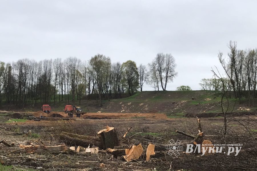 В будущем Петровском парке завершается очередной этап работ (ФОТО)