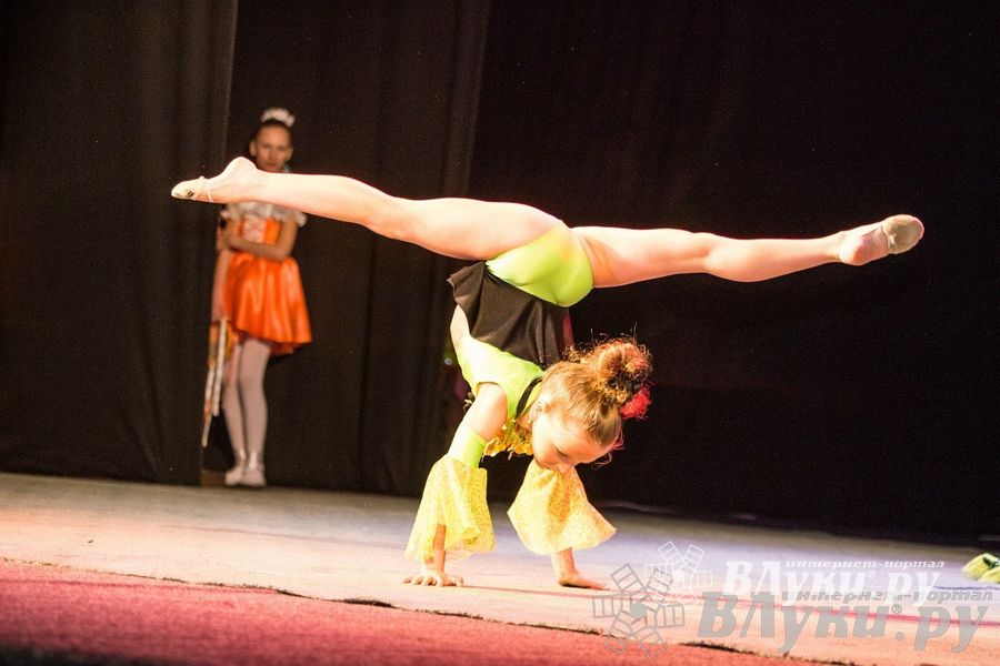 Знаменитый великолукский коллектив спортивного танца «Элегия» отметил свой юбилей