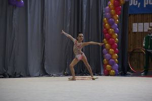 ​В Великих Луках проходит Открытое Первенство по художественной гимнастике (ФОТО) (0+)