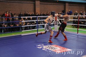 В Великих Луках прошел межрегиональный Открытый Кубок по смешанному боевому единоборству (фото)