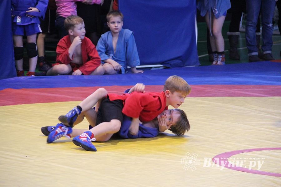 В Великих Луках проходит турнир самбистов (ФОТО)