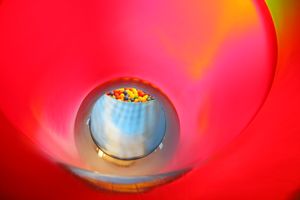 Место, где новогодние чудеса происходят круглый год (ФОТО)