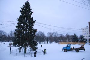 В Великих Луках приступили к демонтажу новогодней ёлки (ФОТО)