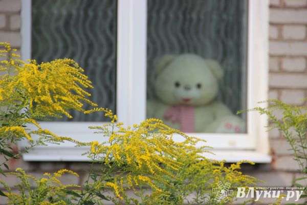 Вниманию жителей области