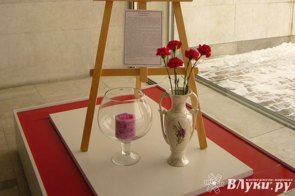 В Краеведческом музее прошел урок мужества «Шагнувший в бессмертие»